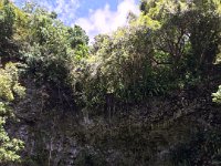2017062277 Fern Grotto and Wailua River Boat Tour - Jun 07