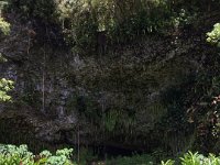 2017062278 Fern Grotto and Wailua River Boat Tour - Jun 07