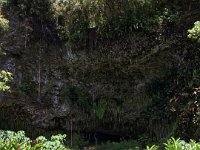 2017062279 Fern Grotto and Wailua River Boat Tour - Jun 07
