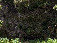 2017062281 Fern Grotto and Wailua River Boat Tour - Jun 07