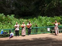 2017062282 Fern Grotto and Wailua River Boat Tour - Jun 07