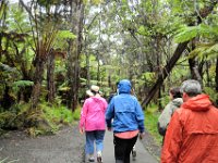 2017063088 Hawaii Tropical Botanical Garden - Big Island - Hawaii - Jun 12