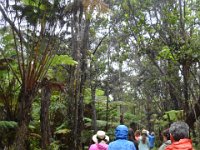 2017063089 Hawaii Tropical Botanical Garden - Big Island - Hawaii - Jun 12