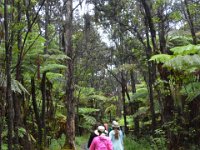 2017063094 Hawaii Tropical Botanical Garden - Big Island - Hawaii - Jun 12