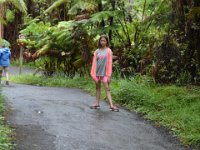 2017063095 Hawaii Tropical Botanical Garden - Big Island - Hawaii - Jun 12