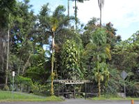 2017063099 Hawaii Tropical Botanical Garden - Big Island - Hawaii - Jun 12