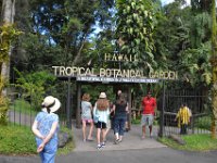 Hawaii Tropical Botanical Garden - Big Island - Hawaii - June 12
