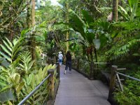 2017063123 Hawaii Tropical Botanical Garden - Big Island - Hawaii - Jun 12