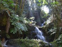 2017063153 Hawaii Tropical Botanical Garden - Big Island - Hawaii - Jun 12