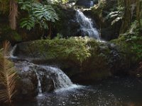 2017063154 Hawaii Tropical Botanical Garden - Big Island - Hawaii - Jun 12