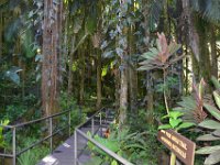 2017063156 Hawaii Tropical Botanical Garden - Big Island - Hawaii - Jun 12