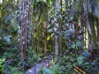 2017063157 Hawaii Tropical Botanical Garden - Big Island - Hawaii - Jun 12
