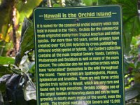 2017063169 Hawaii Tropical Botanical Garden - Big Island - Hawaii - Jun 12
