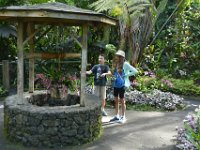 2017063180 Hawaii Tropical Botanical Garden - Big Island - Hawaii - Jun 12