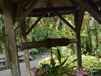 2017063183 Hawaii Tropical Botanical Garden - Big Island - Hawaii - Jun 12