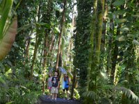 2017063191 Hawaii Tropical Botanical Garden - Big Island - Hawaii - Jun 12