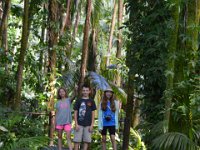 2017063193 Hawaii Tropical Botanical Garden - Big Island - Hawaii - Jun 12