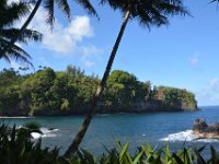 2017063195 Hawaii Tropical Botanical Garden - Big Island - Hawaii - Jun 12