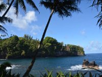 2017063196 Hawaii Tropical Botanical Garden - Big Island - Hawaii - Jun 12