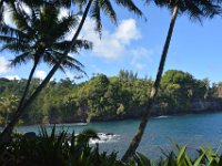 2017063197 Hawaii Tropical Botanical Garden - Big Island - Hawaii - Jun 12