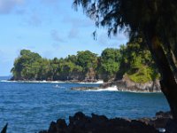 2017063199 Hawaii Tropical Botanical Garden - Big Island - Hawaii - Jun 12