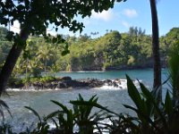 2017063202 Hawaii Tropical Botanical Garden - Big Island - Hawaii - Jun 12