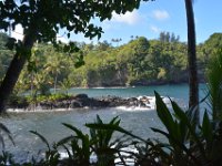 2017063203 Hawaii Tropical Botanical Garden - Big Island - Hawaii - Jun 12