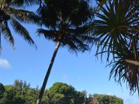 2017063204 Hawaii Tropical Botanical Garden - Big Island - Hawaii - Jun 12