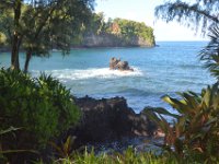 2017063210 Hawaii Tropical Botanical Garden - Big Island - Hawaii - Jun 12