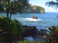 2017063211 Hawaii Tropical Botanical Garden - Big Island - Hawaii - Jun 12