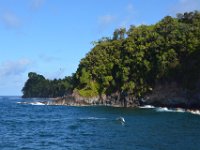 2017063214 Hawaii Tropical Botanical Garden - Big Island - Hawaii - Jun 12