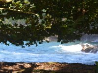 2017063218 Hawaii Tropical Botanical Garden - Big Island - Hawaii - Jun 12