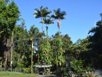 2017063244 Hawaii Tropical Botanical Garden - Big Island - Hawaii - Jun 12
