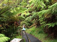 2017063246 Hawaii Tropical Botanical Garden - Big Island - Hawaii - Jun 12