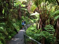 2017063247 Hawaii Tropical Botanical Garden - Big Island - Hawaii - Jun 12