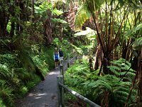 2017063248 Hawaii Tropical Botanical Garden - Big Island - Hawaii - Jun 12