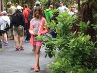 2017063251 Hawaii Tropical Botanical Garden - Big Island - Hawaii - Jun 12