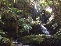 2017063265 Hawaii Tropical Botanical Garden - Big Island - Hawaii - Jun 12