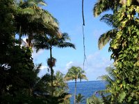 2017063273 Hawaii Tropical Botanical Garden - Big Island - Hawaii - Jun 12