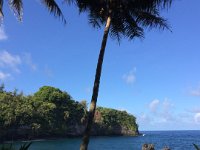 2017063277 Hawaii Tropical Botanical Garden - Big Island - Hawaii - Jun 12