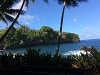 2017063278 Hawaii Tropical Botanical Garden - Big Island - Hawaii - Jun 12