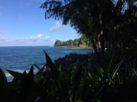 2017063279 Hawaii Tropical Botanical Garden - Big Island - Hawaii - Jun 12