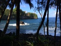 2017063282 Hawaii Tropical Botanical Garden - Big Island - Hawaii - Jun 12