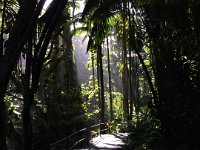 2017063285 Hawaii Tropical Botanical Garden - Big Island - Hawaii - Jun 12