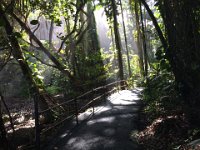 2017063286 Hawaii Tropical Botanical Garden - Big Island - Hawaii - Jun 12
