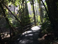 2017063287 Hawaii Tropical Botanical Garden - Big Island - Hawaii - Jun 12