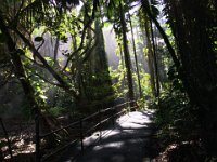 2017063289 Hawaii Tropical Botanical Garden - Big Island - Hawaii - Jun 12