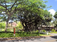 2017061276 Honolulu City Tour - Jun 04