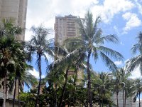 2017061346 Honolulu City Tour - Jun 04