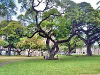 2017062337 Iolani Palace - Honolulu - Hawall - Jun 08